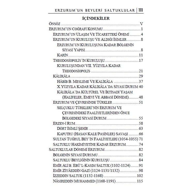 ERZURUMUN_BEYLERI_SALTUKLULAR3_436.jpg
